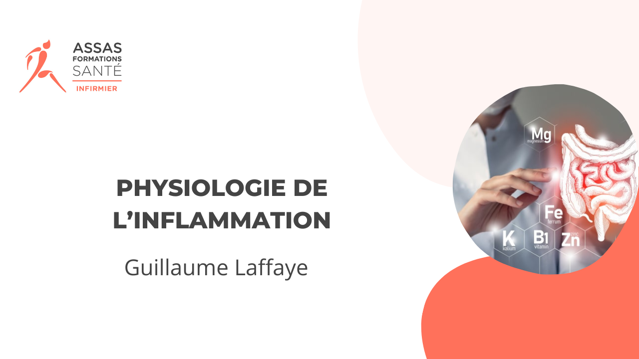 image de la formation